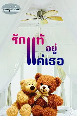 ปกนิยาย รักแท้อยู่แค่เธอ