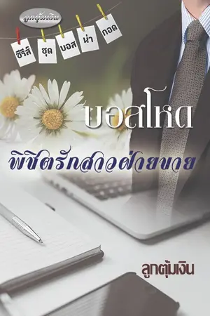 ปกนิยาย บอสโหด พิชิตรักสาวฝ่ายขาย