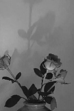 ปกนิยาย BRO-IN-LAW ♣︎ CHANBAEK