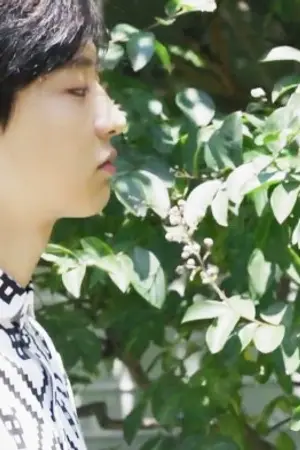 ปกนิยาย OS ║ SF ❀CHANBAEK❀  ❣ SUMMER DAY