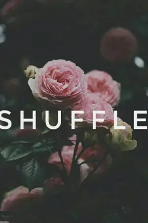 ปกนิยาย (MINWON seventeen)...Shuffle...#ฟิคสองร่างMW