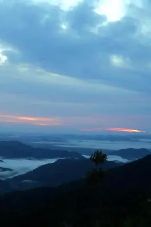 ปกนิยาย แม้นฟ้าไร้ดาว