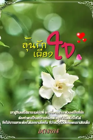 ปกนิยาย ลุ้นรักเคียงใจ ( มี E-BOOK)