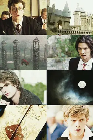 ปกนิยาย [Fic Harry]Rayna and The Marauders