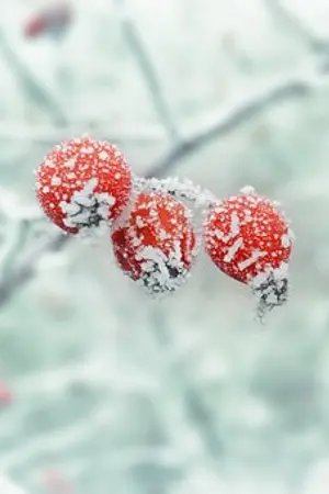 ปกนิยาย [EXO:OS] ข้างหลัง {HUNHAN}