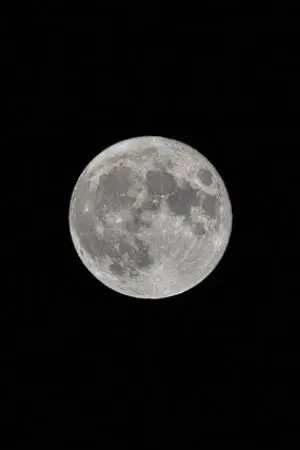 ปกนิยาย แวมไพร์สุดหล่อกับสาวน้อยคาวาอี้