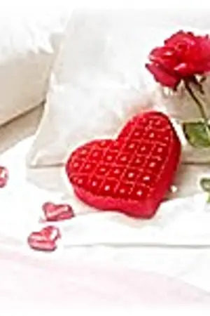 ปกนิยาย ม่านวิวาห์