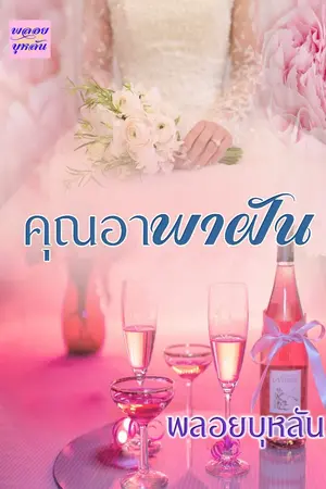 ปกนิยาย คุณอาพาฝัน