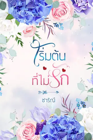 ปกนิยาย