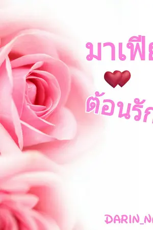 ปกนิยาย มาเฟียต้อนรัก