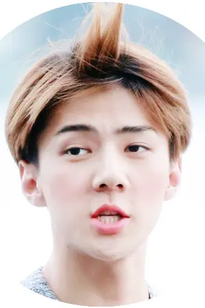 ปกนิยาย แม่ครับผมรักหลานแม่ Hunhan F.Exo