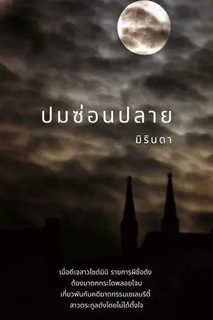 ปกนิยาย