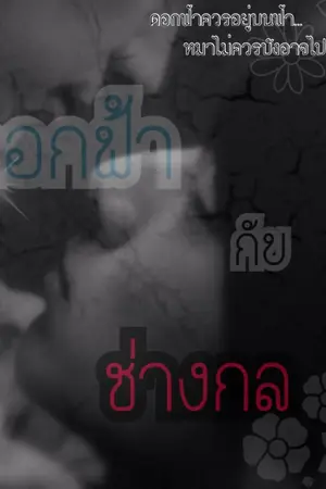 ปกนิยาย ดอกฟ้ากับช่างกล [yaoi , y , boy's love]