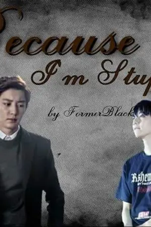ปกนิยาย [Fic EXO] Because I'm Stupid  (ChanBaek , KaiSoo Ft. EXO , SJ , V BTS)