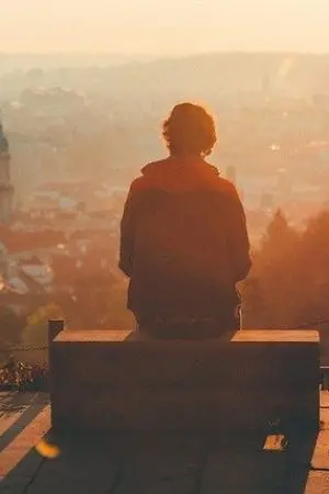 ปกนิยาย Daily Feeling