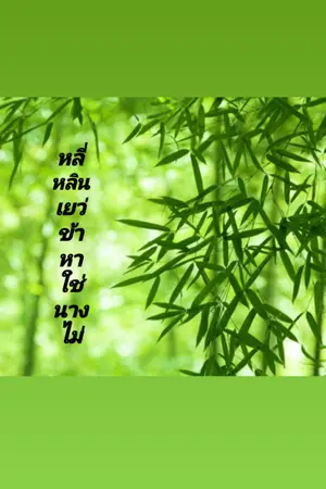 ปกนิยาย หลี่หลินเยว่ข้าหาใช่นางไม่