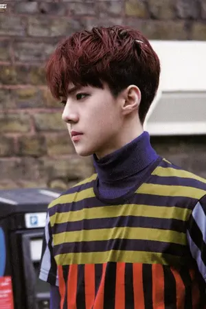 ปกนิยาย (EXO SF) Sehun x you คุณหมอเย็นชากับยัยแสนซื่อ