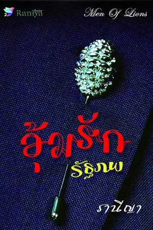 ปกนิยาย