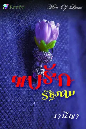 ปกนิยาย