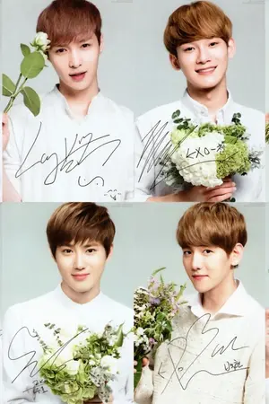 ปกนิยาย รักวุ่นวายนายไอดอล [ exo x you ]
