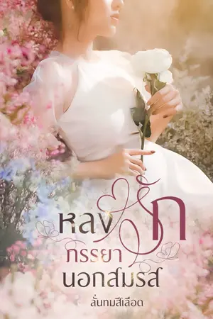 ปกนิยาย