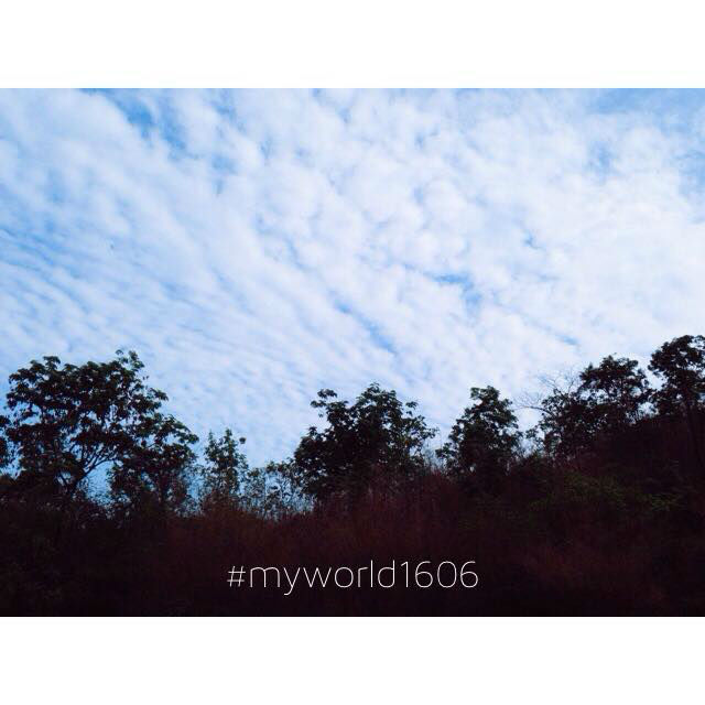 My Image 30