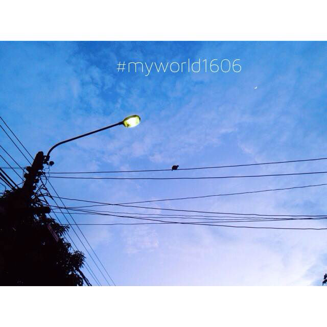 My Image 63