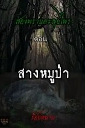 ปกนิยาย สางหมููป่า