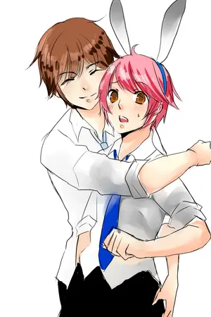 ปกนิยาย Wall of Fate กำแพงแห่งโชคชะตา