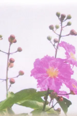 ปกนิยาย [PRODUCE101] อินทนิล ஐ แดจิน