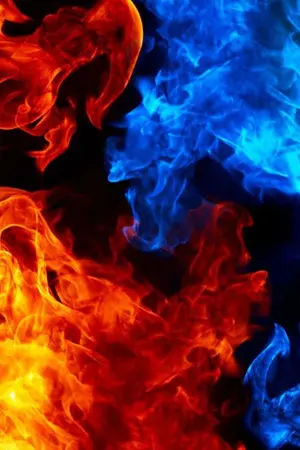 ปกนิยาย The Charlotte [Yaoi 18+]