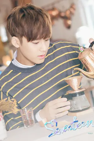 ปกนิยาย [SEVENTEEN STORY] Mingyu x u (depolarization love รักสลับขั้ว)