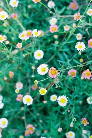 ปกนิยาย [ os/sf ] Hongmark  | with NCT , School Rapper