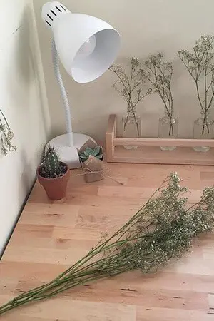 ปกนิยาย [ NCT ] MARKNO | Cutter and the Sunflower.