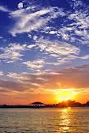 ปกนิยาย อยากแปลเพลงไหนก็แปล