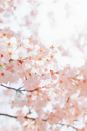 ปกนิยาย (os/sf) Time To Love - MarkBam GOT7 #ficbynmb