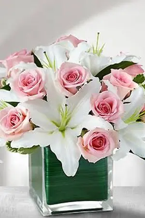 ปกนิยาย My LOVE รักแรกพบ