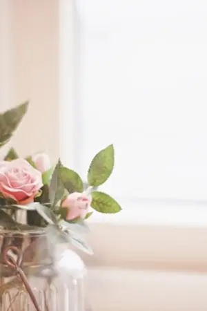 ปกนิยาย SF/OS |『EXOPINK』{exo apink etc.} Romantic Variety ♥