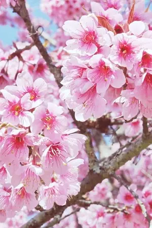 ปกนิยาย Wait for me รุ่นพี่คะ!