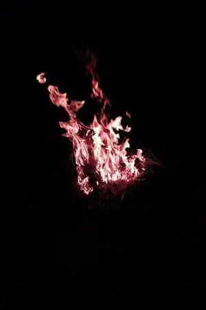 ปกนิยาย ปรารถนาแสงตะวัน