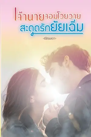 ปกนิยาย เจ้านายจอมโวยวายสะดุดรักยัยเฉิ่ม
