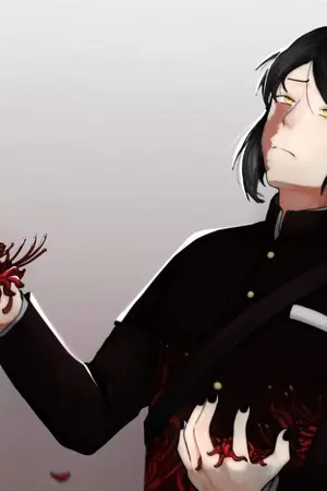 ปกนิยาย KIMETSU NO YAIBA : SPIRIT BREATHING