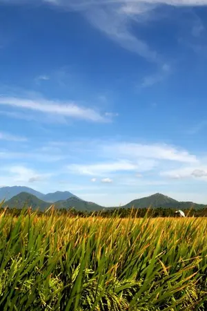 ปกนิยาย ปุ๊บปั๊บ รัก โชค [Yaoi]