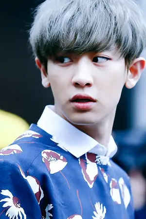 ปกนิยาย [EXO] Ducky :: CHANBAEK (จบแล้ว)