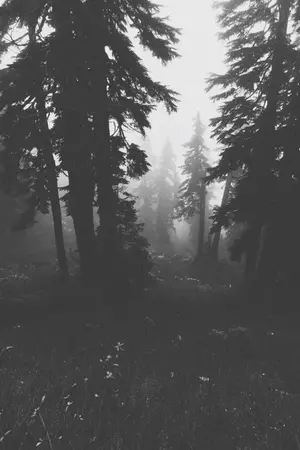 ปกนิยาย [END] วันนั้นที่ข้าพเจ้าไม่เคยลืม