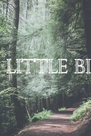 ปกนิยาย FIC SEVENTEEN ; A LITTLE BIT (MINWON)