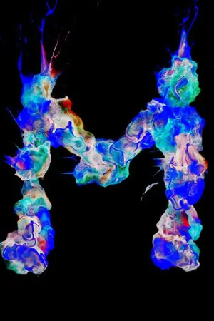 ปกนิยาย My Ladies [จีน่ากวาง]