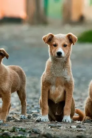 ปกนิยาย Friendship.ฮาศาสตร์