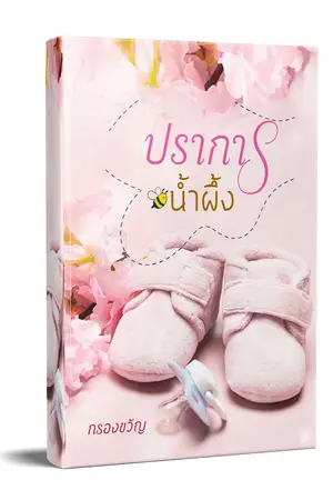 ปกนิยาย