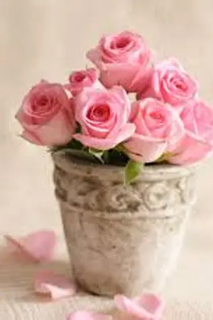 ปกนิยาย Pink school โรงเรียนสอนรัก